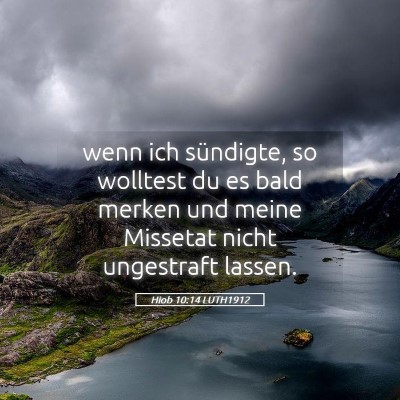 Picture 05 - Hiob 10:14 LUTH1912 - wenn ich sündigte, so wolltest du es bald merken - Bible Verse Picture