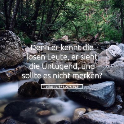 Picture 05 - Hiob 11:11 LUTH1912 - Denn er kennt die losen Leute, er sieht die - Bible Verse Picture