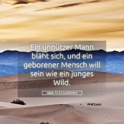 Picture 05 - Hiob 11:12 LUTH1912 - Ein unnützer Mann bläht sich, und ein geborener - Bible Verse Picture