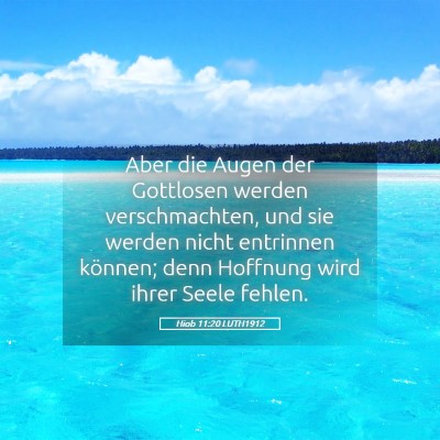 Picture 05 - Hiob 11:20 LUTH1912 - Aber die Augen der Gottlosen werden - Bible Verse Picture