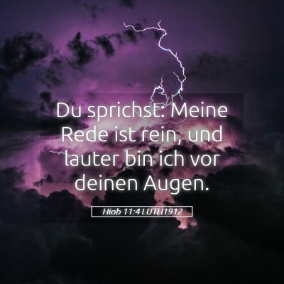 Picture 05 - Hiob 11:4 LUTH1912 - Du sprichst: Meine Rede ist rein, und lauter bin - Bible Verse Picture