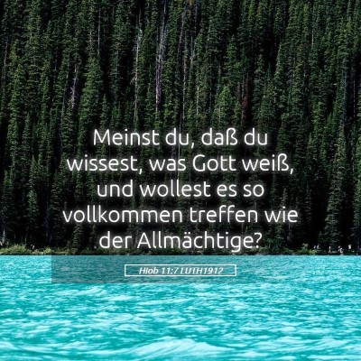Picture 05 - Hiob 11:7 LUTH1912 - Meinst du, daß du wissest, was Gott weiß, und - Bible Verse Picture