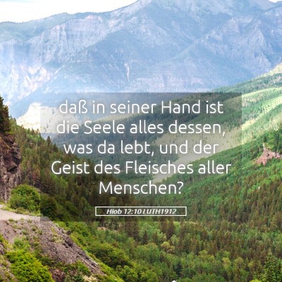 Picture 05 - Hiob 12:10 LUTH1912 - daß in seiner Hand ist die Seele alles dessen, - Bible Verse Picture