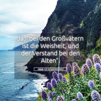 Picture 05 - Hiob 12:12 LUTH1912 - Ja, “bei den Großvätern ist die Weisheit, und - Bible Verse Picture
