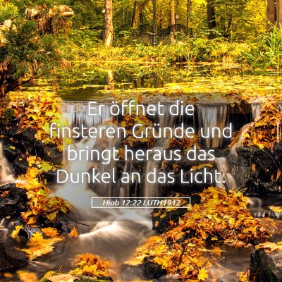 Picture 05 - Hiob 12:22 LUTH1912 - Er öffnet die finsteren Gründe und bringt - Bible Verse Picture