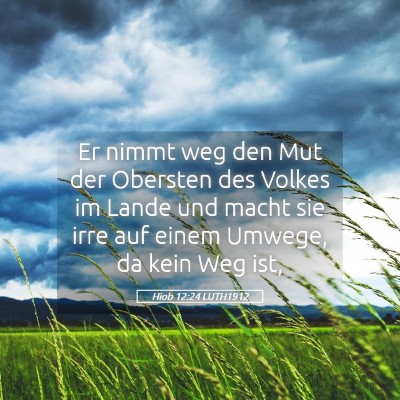 Picture 05 - Hiob 12:24 LUTH1912 - Er nimmt weg den Mut der Obersten des Volkes im - Bible Verse Picture
