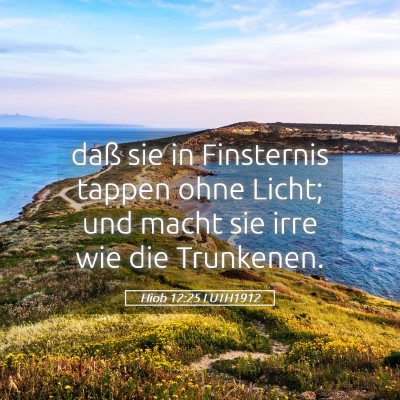 Picture 05 - Hiob 12:25 LUTH1912 - daß sie in Finsternis tappen ohne Licht; und - Bible Verse Picture