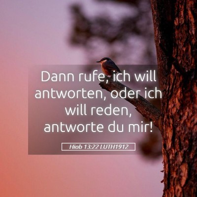 Picture 05 - Hiob 13:22 LUTH1912 - Dann rufe, ich will antworten, oder ich will - Bible Verse Picture