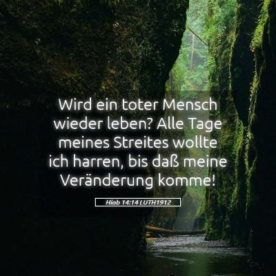 Picture 05 - Hiob 14:14 LUTH1912 - Wird ein toter Mensch wieder leben? Alle Tage - Bible Verse Picture