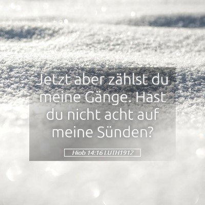Picture 05 - Hiob 14:16 LUTH1912 - Jetzt aber zählst du meine Gänge. Hast du nicht - Bible Verse Picture