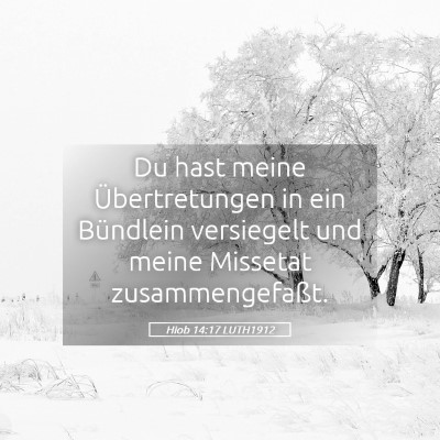 Picture 05 - Hiob 14:17 LUTH1912 - Du hast meine Übertretungen in ein Bündlein - Bible Verse Picture