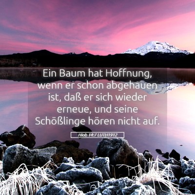 Picture 05 - Hiob 14:7 LUTH1912 - Ein Baum hat Hoffnung, wenn er schon abgehauen - Bible Verse Picture