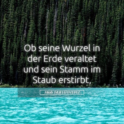 Picture 05 - Hiob 14:8 LUTH1912 - Ob seine Wurzel in der Erde veraltet und sein - Bible Verse Picture