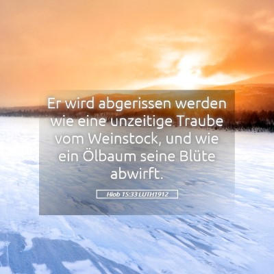 Picture 05 - Hiob 15:33 LUTH1912 - Er wird abgerissen werden wie eine unzeitige - Bible Verse Picture