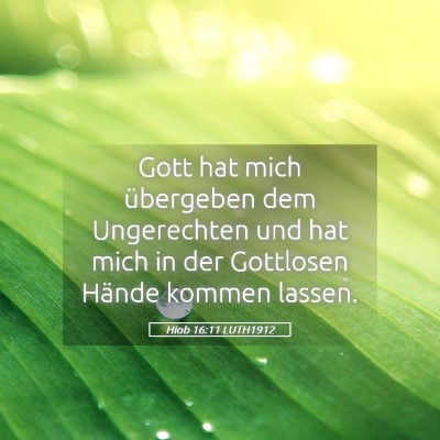 Picture 05 - Hiob 16:11 LUTH1912 - Gott hat mich übergeben dem Ungerechten und hat - Bible Verse Picture