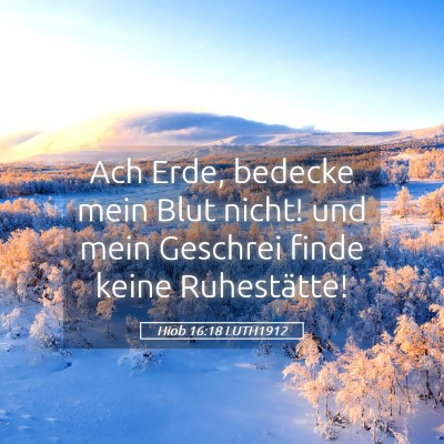 Picture 05 - Hiob 16:18 LUTH1912 - Ach Erde, bedecke mein Blut nicht! und mein - Bible Verse Picture