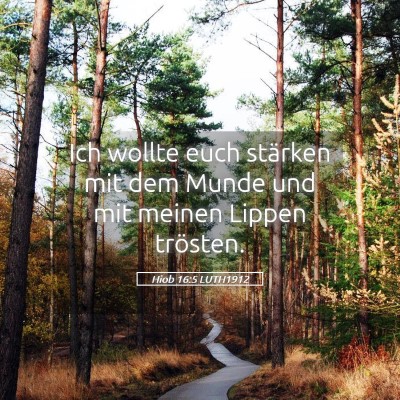 Picture 05 - Hiob 16:5 LUTH1912 - Ich wollte euch stärken mit dem Munde und mit - Bible Verse Picture