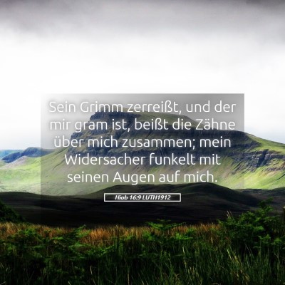 Picture 05 - Hiob 16:9 LUTH1912 - Sein Grimm zerreißt, und der mir gram ist, - Bible Verse Picture