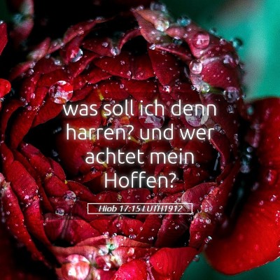 Picture 05 - Hiob 17:15 LUTH1912 - was soll ich denn harren? und wer achtet mein - Bible Verse Picture