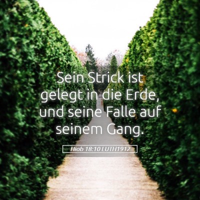 Picture 05 - Hiob 18:10 LUTH1912 - Sein Strick ist gelegt in die Erde, und seine - Bible Verse Picture