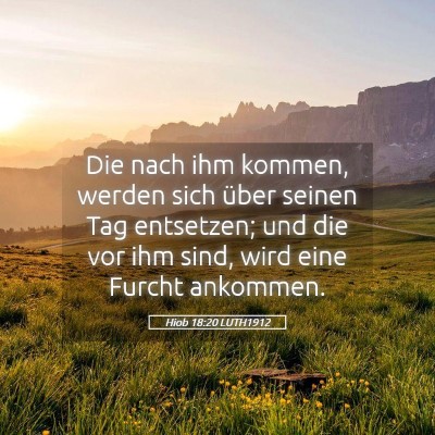 Picture 05 - Hiob 18:20 LUTH1912 - Die nach ihm kommen, werden sich über seinen Tag - Bible Verse Picture