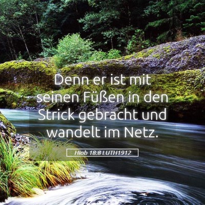 Picture 05 - Hiob 18:8 LUTH1912 - Denn er ist mit seinen Füßen in den Strick - Bible Verse Picture