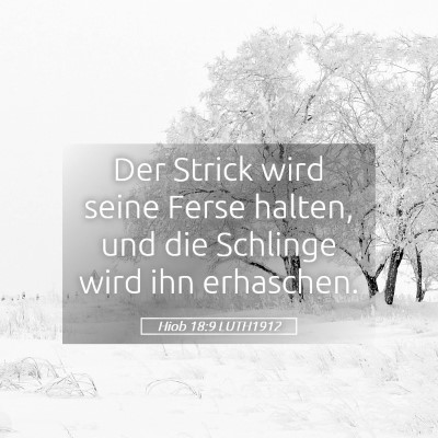 Picture 05 - Hiob 18:9 LUTH1912 - Der Strick wird seine Ferse halten, und die - Bible Verse Picture