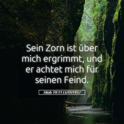 Picture 05 - Hiob 19:11 LUTH1912 - Sein Zorn ist über mich ergrimmt, und er achtet - Bible Verse Picture