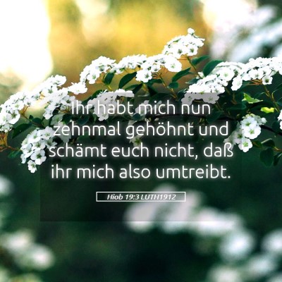 Picture 05 - Hiob 19:3 LUTH1912 - Ihr habt mich nun zehnmal gehöhnt und schämt - Bible Verse Picture