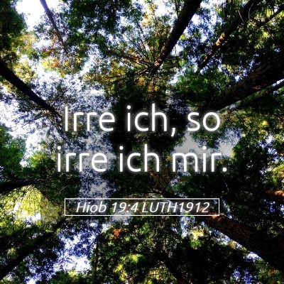 Picture 05 - Hiob 19:4 LUTH1912 - Irre ich, so irre ich - Bible Verse Picture