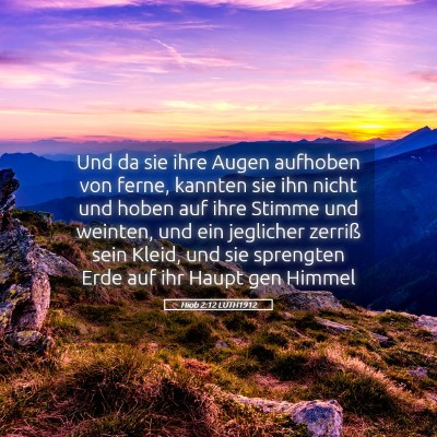 Picture 05 - Hiob 2:12 LUTH1912 - Und da sie ihre Augen aufhoben von ferne, kannten - Bible Verse Picture