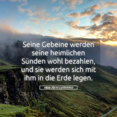 Picture 05 - Hiob 20:11 LUTH1912 - Seine Gebeine werden seine heimlichen Sünden - Bible Verse Picture