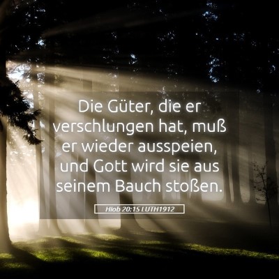 Picture 05 - Hiob 20:15 LUTH1912 - Die Güter, die er verschlungen hat, muß er - Bible Verse Picture