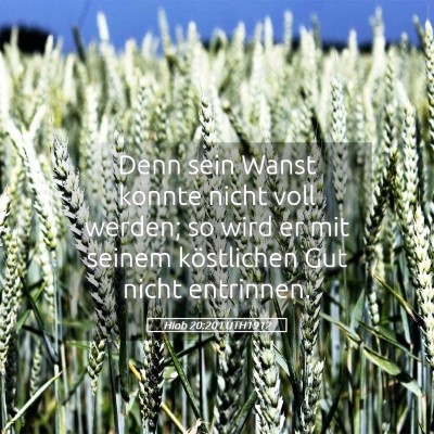 Picture 05 - Hiob 20:20 LUTH1912 - Denn sein Wanst konnte nicht voll werden; so wird - Bible Verse Picture