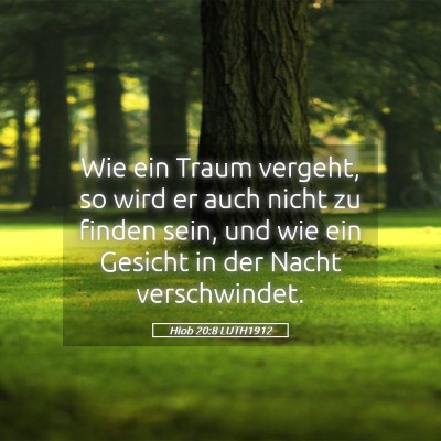 Picture 05 - Hiob 20:8 LUTH1912 - Wie ein Traum vergeht, so wird er auch nicht zu - Bible Verse Picture