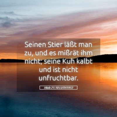 Picture 05 - Hiob 21:10 LUTH1912 - Seinen Stier läßt man zu, und es mißrät ihm - Bible Verse Picture