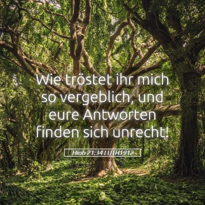 Picture 05 - Hiob 21:34 LUTH1912 - Wie tröstet ihr mich so vergeblich, und eure - Bible Verse Picture
