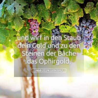 Picture 05 - Hiob 22:24 LUTH1912 - und wirf in den Staub dein Gold und zu den - Bible Verse Picture
