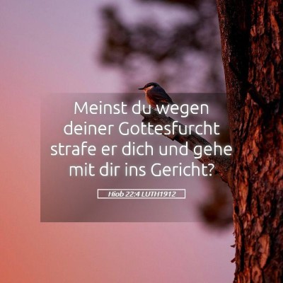 Picture 05 - Hiob 22:4 LUTH1912 - Meinst du wegen deiner Gottesfurcht strafe er - Bible Verse Picture