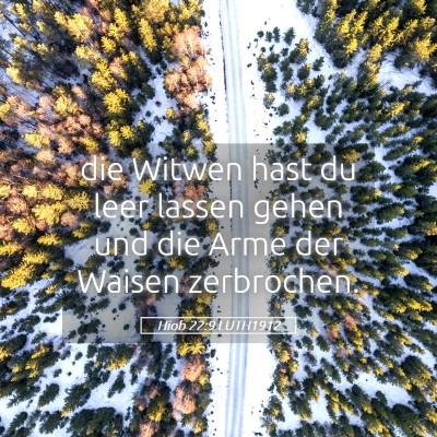 Picture 05 - Hiob 22:9 LUTH1912 - die Witwen hast du leer lassen gehen und die Arme - Bible Verse Picture