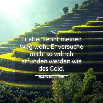 Picture 05 - Hiob 23:10 LUTH1912 - Er aber kennt meinen Weg wohl. Er versuche mich, - Bible Verse Picture