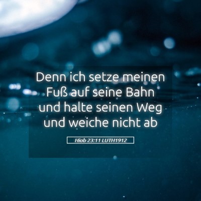 Picture 05 - Hiob 23:11 LUTH1912 - Denn ich setze meinen Fuß auf seine Bahn und - Bible Verse Picture