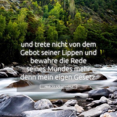 Picture 05 - Hiob 23:12 LUTH1912 - und trete nicht von dem Gebot seiner Lippen und - Bible Verse Picture