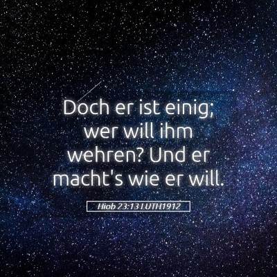Picture 05 - Hiob 23:13 LUTH1912 - Doch er ist einig; wer will ihm wehren? Und er - Bible Verse Picture