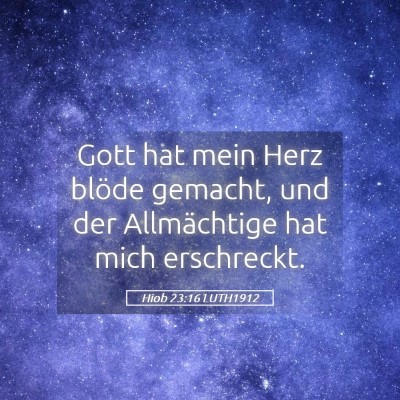 Picture 05 - Hiob 23:16 LUTH1912 - Gott hat mein Herz blöde gemacht, und der - Bible Verse Picture