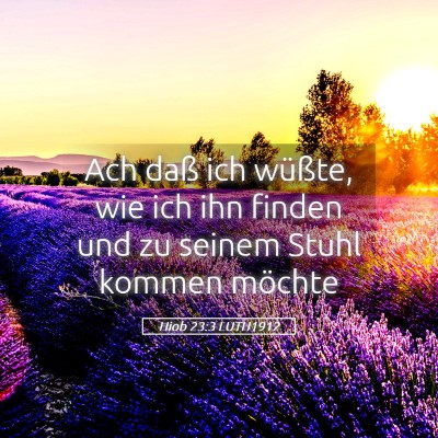Picture 05 - Hiob 23:3 LUTH1912 - Ach daß ich wüßte, wie ich ihn finden und zu - Bible Verse Picture