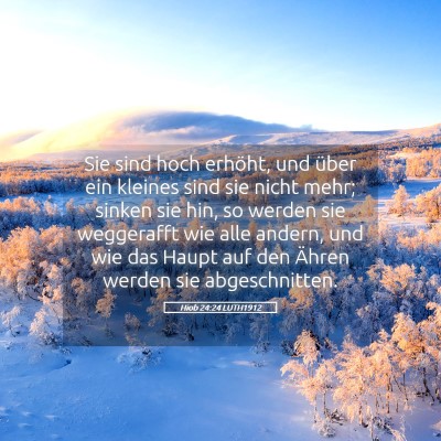 Picture 05 - Hiob 24:24 LUTH1912 - Sie sind hoch erhöht, und über ein kleines sind - Bible Verse Picture