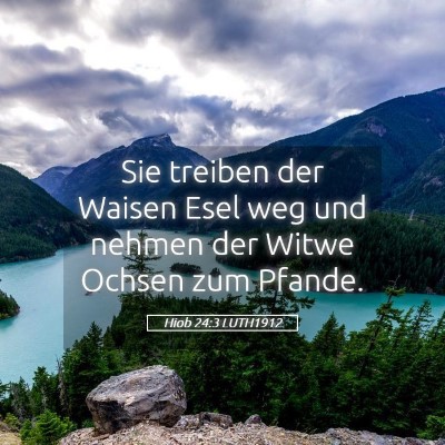 Picture 05 - Hiob 24:3 LUTH1912 - Sie treiben der Waisen Esel weg und nehmen der - Bible Verse Picture