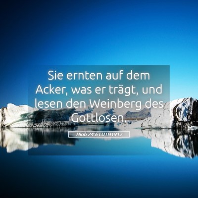 Picture 05 - Hiob 24:6 LUTH1912 - Sie ernten auf dem Acker, was er trägt, und - Bible Verse Picture