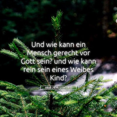 Picture 05 - Hiob 25:4 LUTH1912 - Und wie kann ein Mensch gerecht vor Gott sein? - Bible Verse Picture